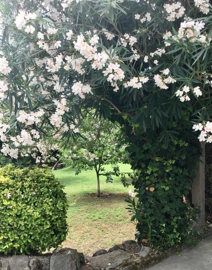 Villa Vincenzo Di Meglio 바라노디스키아 외부 사진