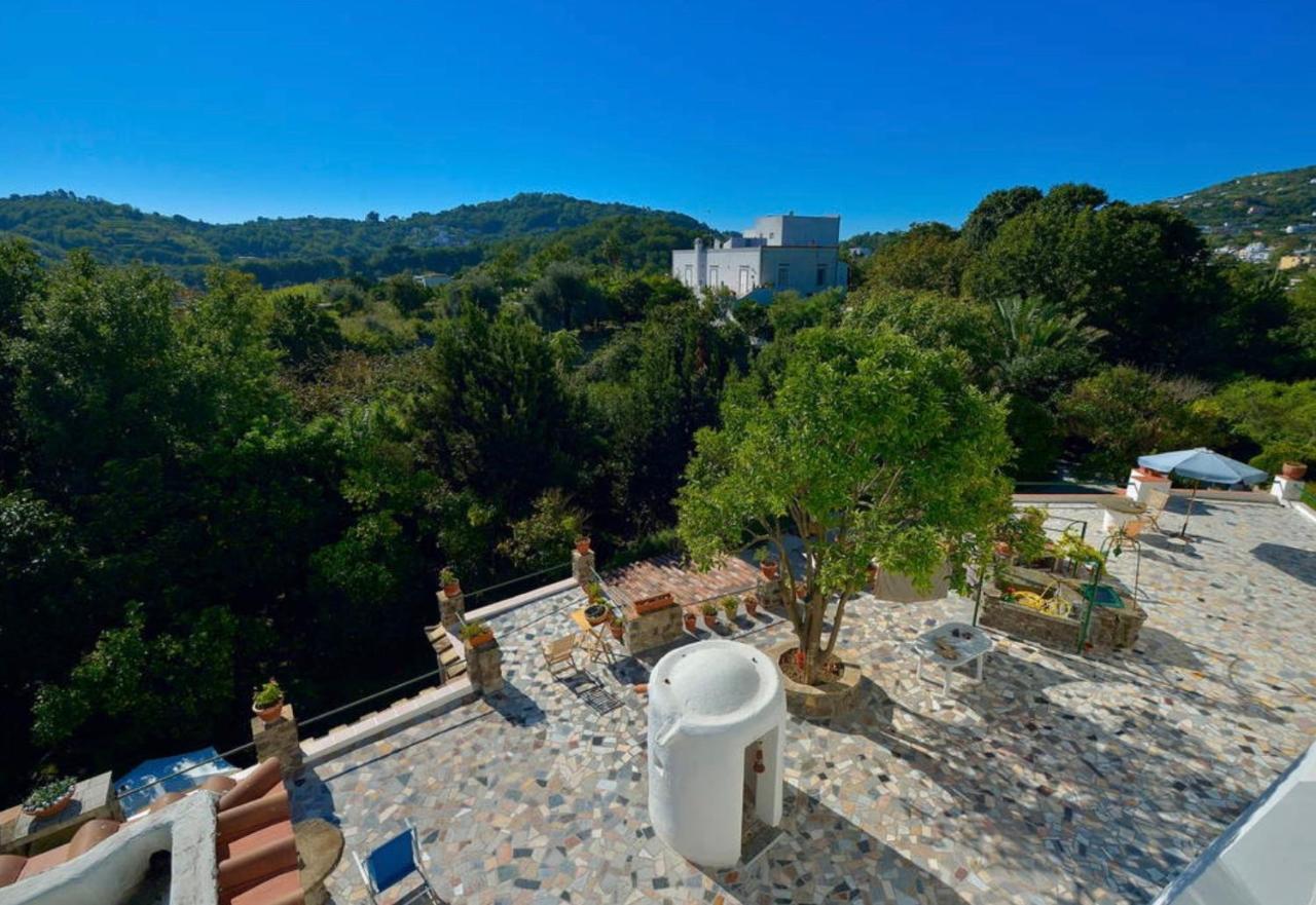 Villa Vincenzo Di Meglio 바라노디스키아 외부 사진