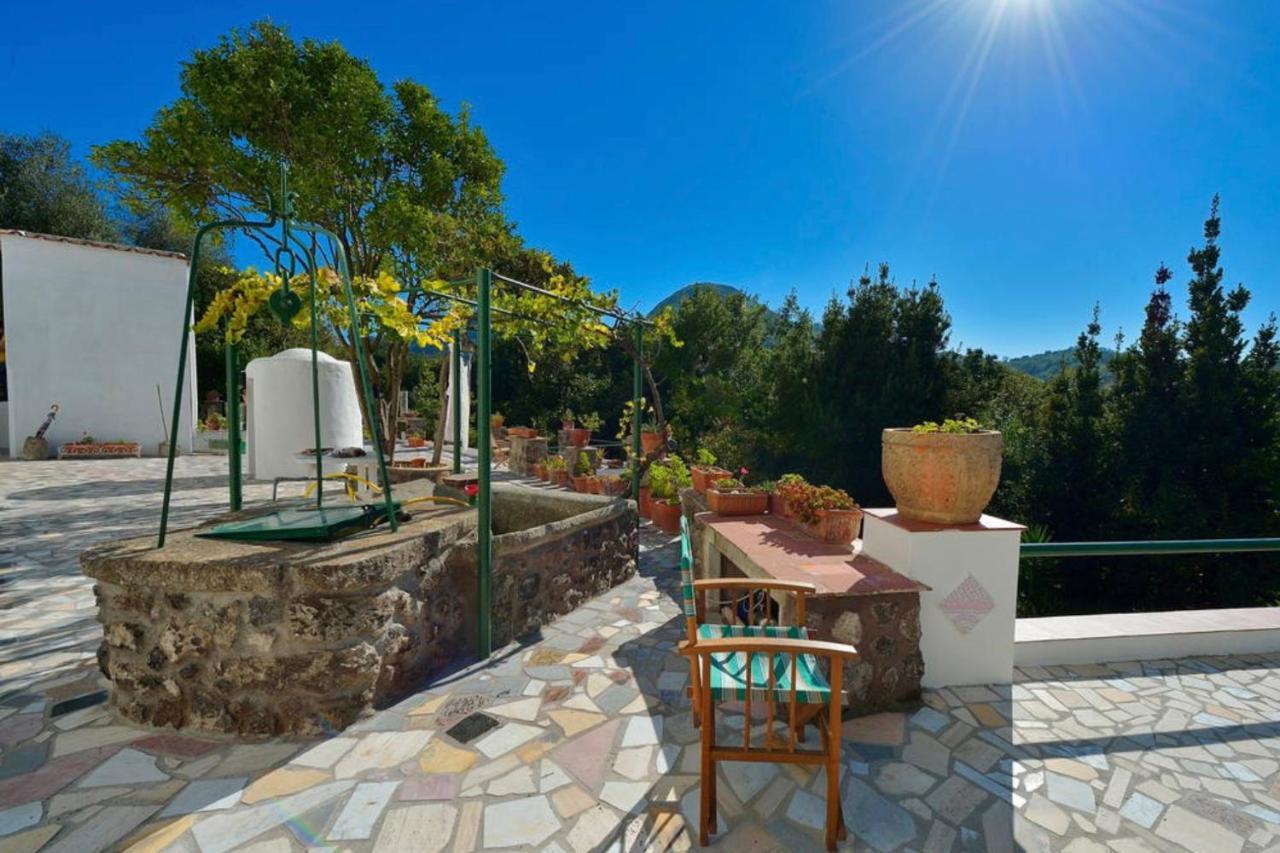 Villa Vincenzo Di Meglio 바라노디스키아 외부 사진