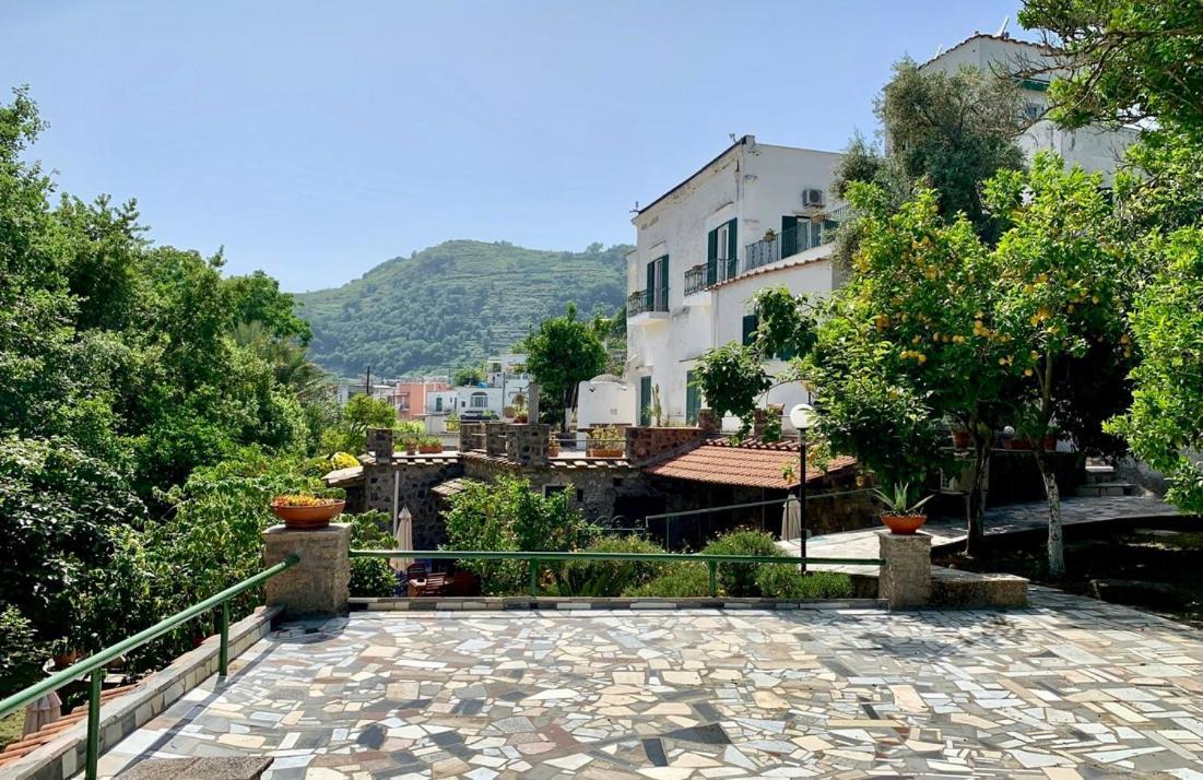 Villa Vincenzo Di Meglio 바라노디스키아 외부 사진
