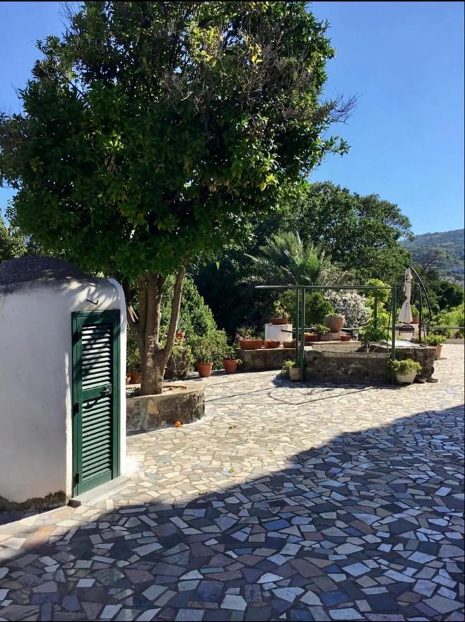 Villa Vincenzo Di Meglio 바라노디스키아 외부 사진