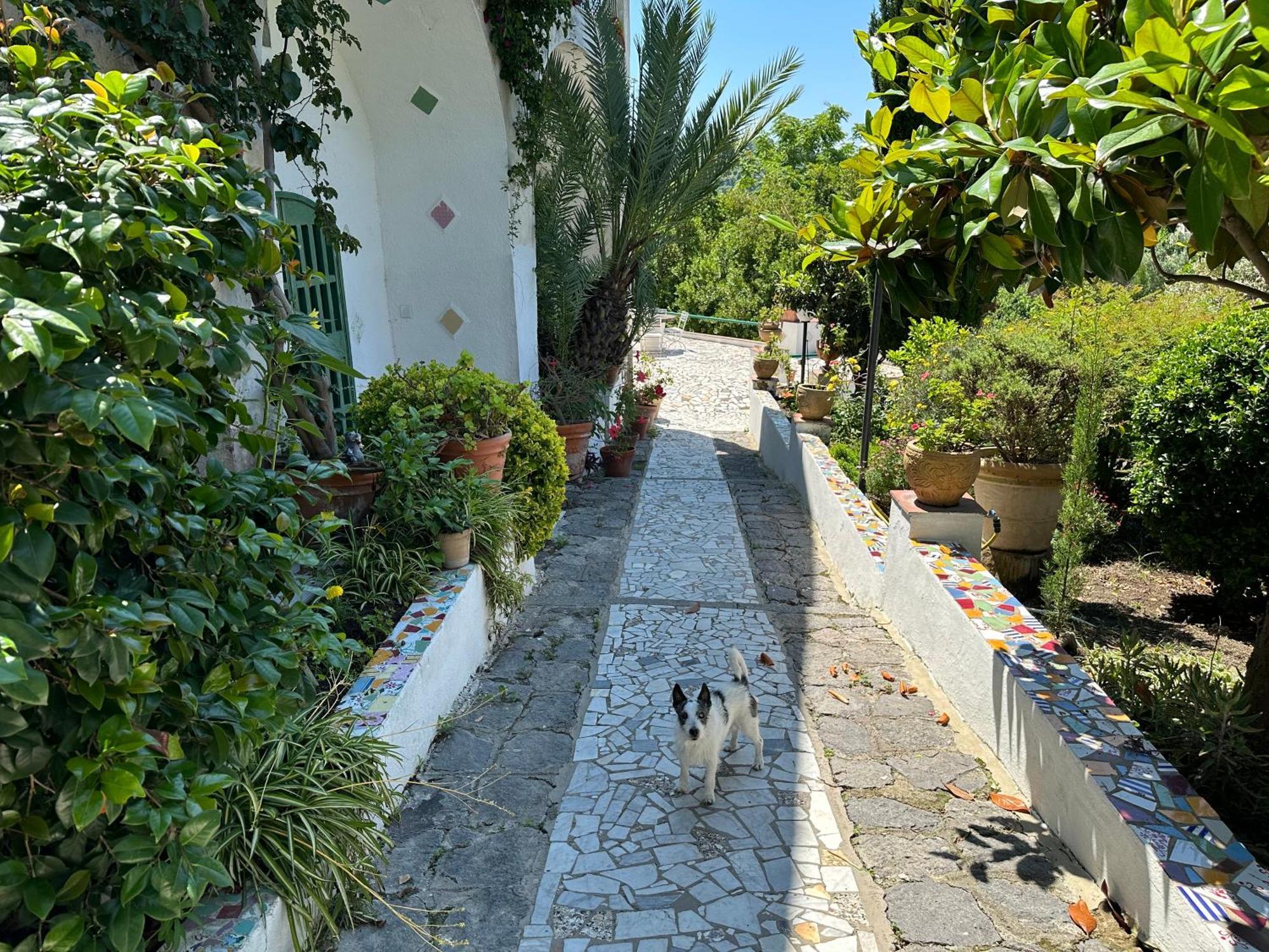 Villa Vincenzo Di Meglio 바라노디스키아 외부 사진