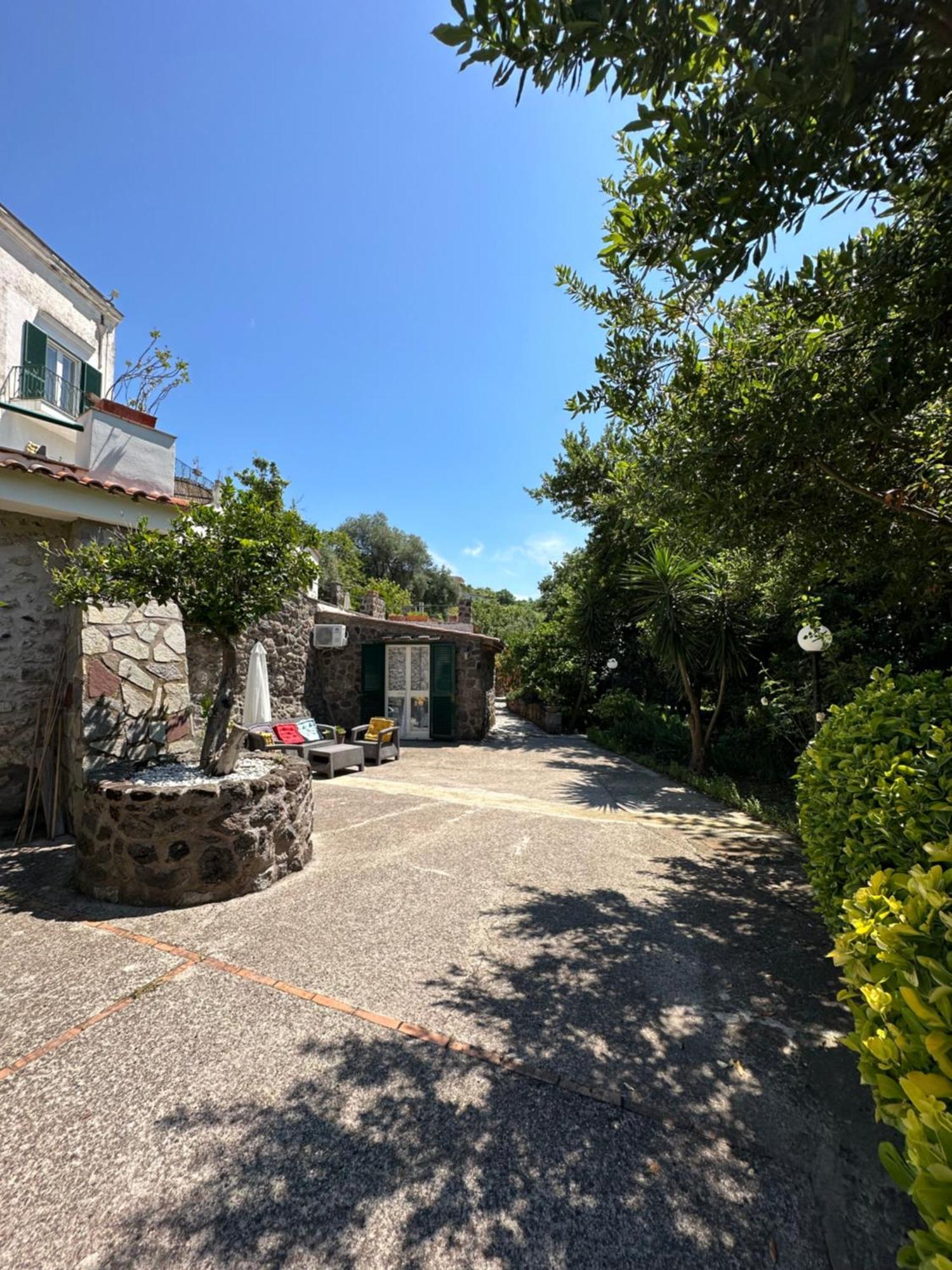 Villa Vincenzo Di Meglio 바라노디스키아 외부 사진