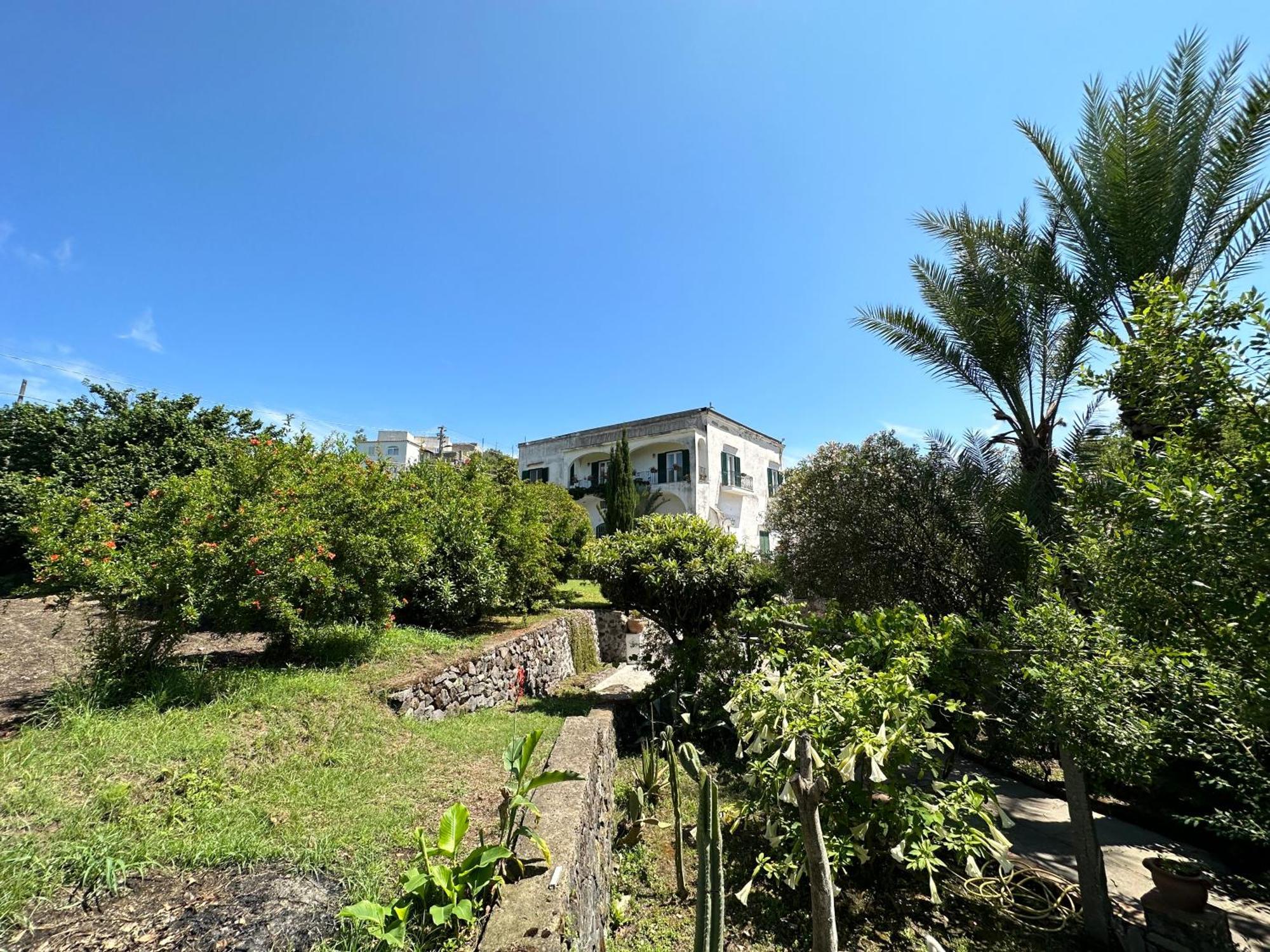 Villa Vincenzo Di Meglio 바라노디스키아 외부 사진