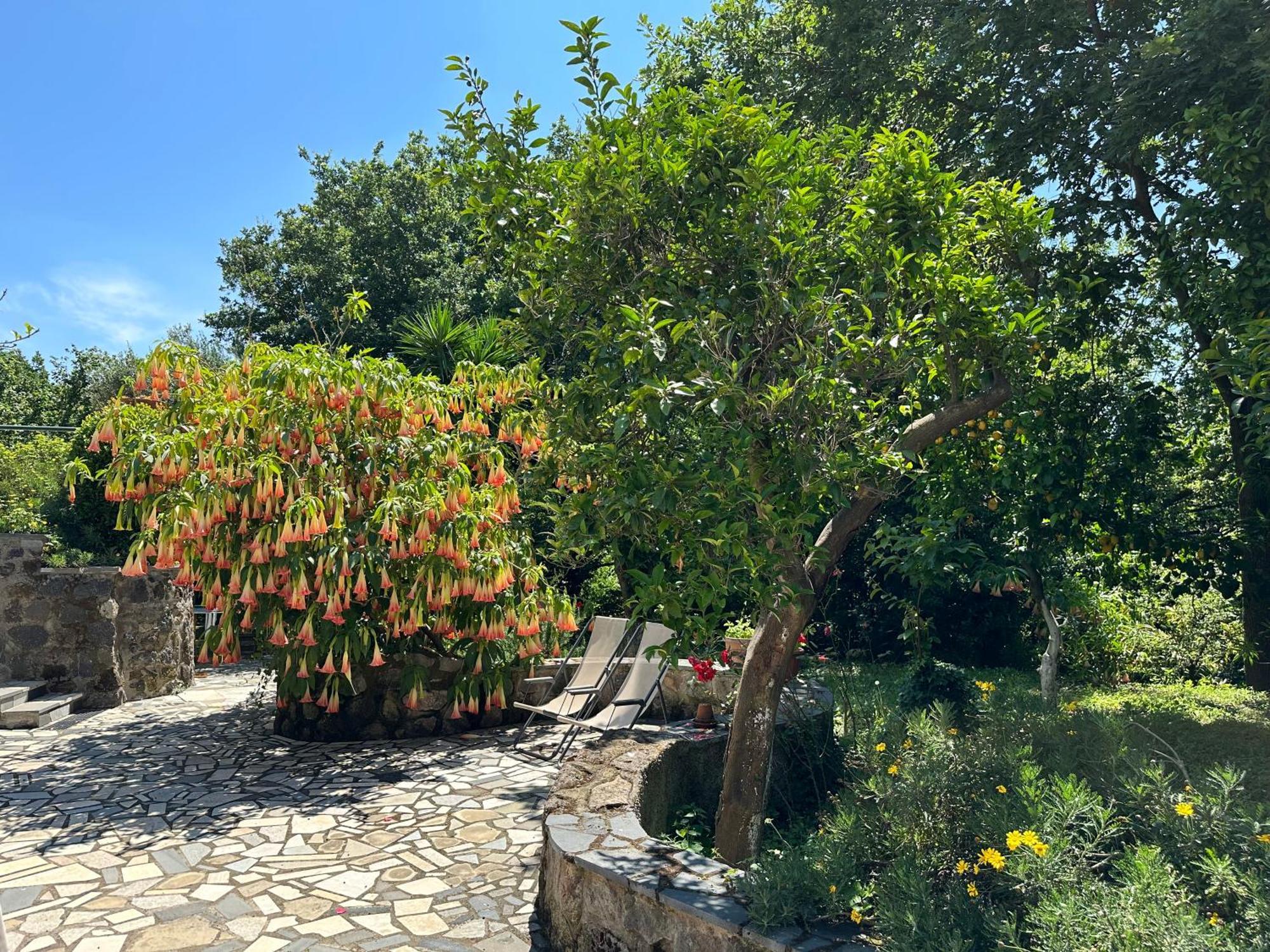 Villa Vincenzo Di Meglio 바라노디스키아 외부 사진