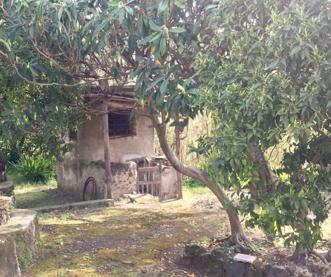 Villa Vincenzo Di Meglio 바라노디스키아 외부 사진