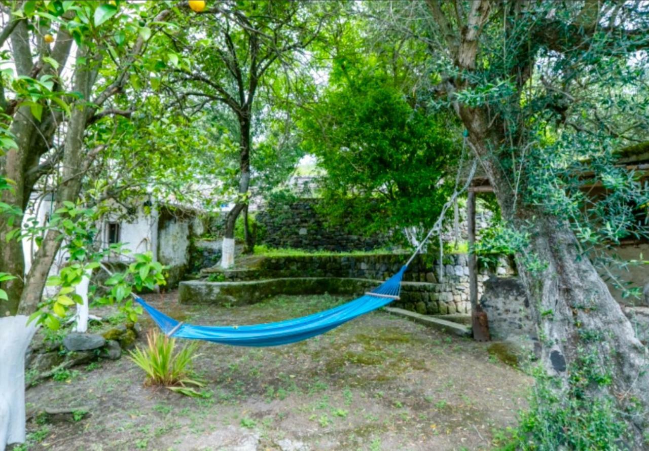 Villa Vincenzo Di Meglio 바라노디스키아 외부 사진