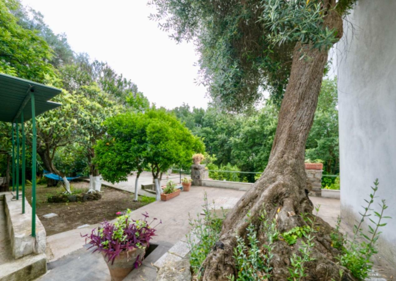 Villa Vincenzo Di Meglio 바라노디스키아 외부 사진