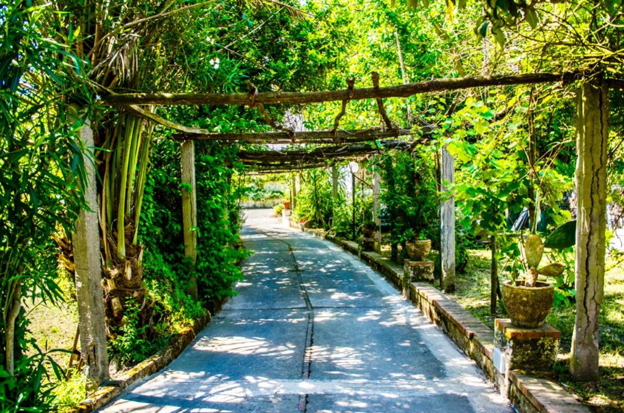 Villa Vincenzo Di Meglio 바라노디스키아 외부 사진