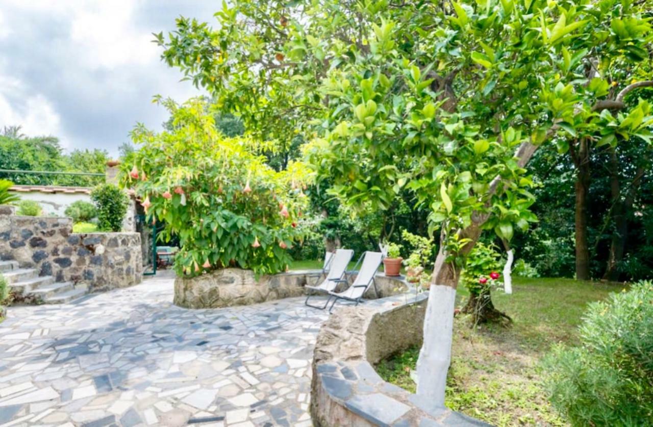Villa Vincenzo Di Meglio 바라노디스키아 외부 사진