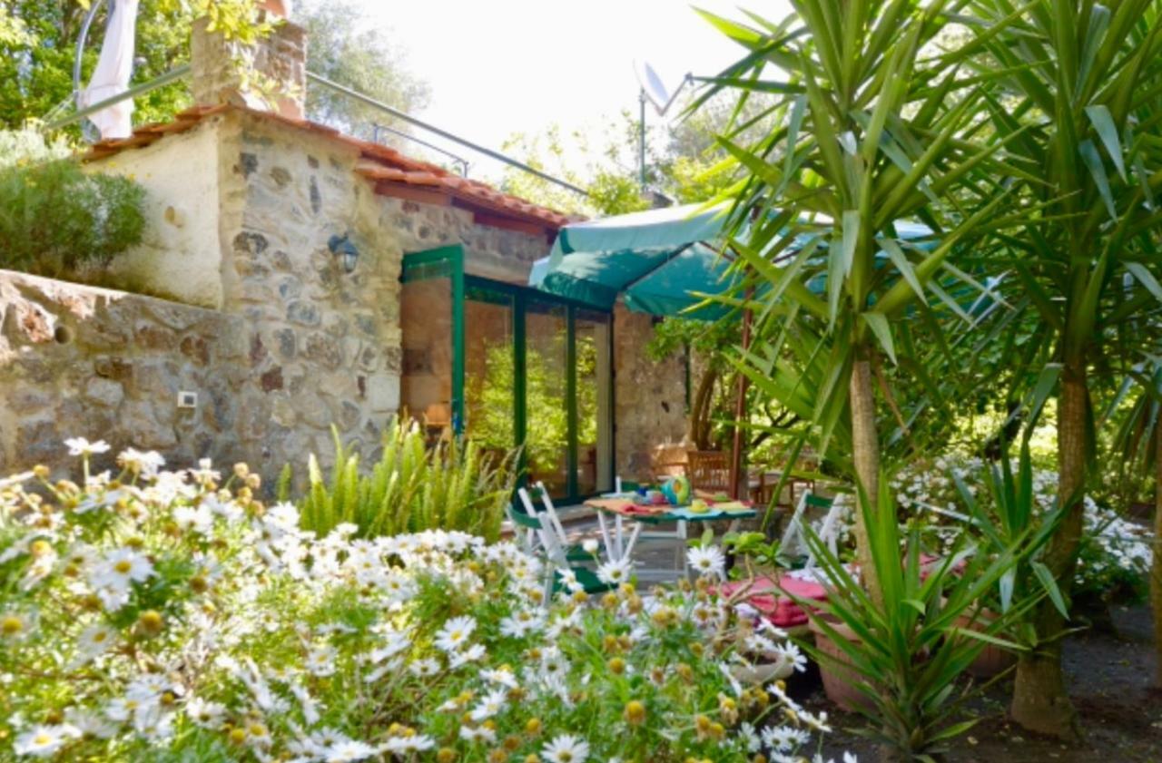 Villa Vincenzo Di Meglio 바라노디스키아 외부 사진