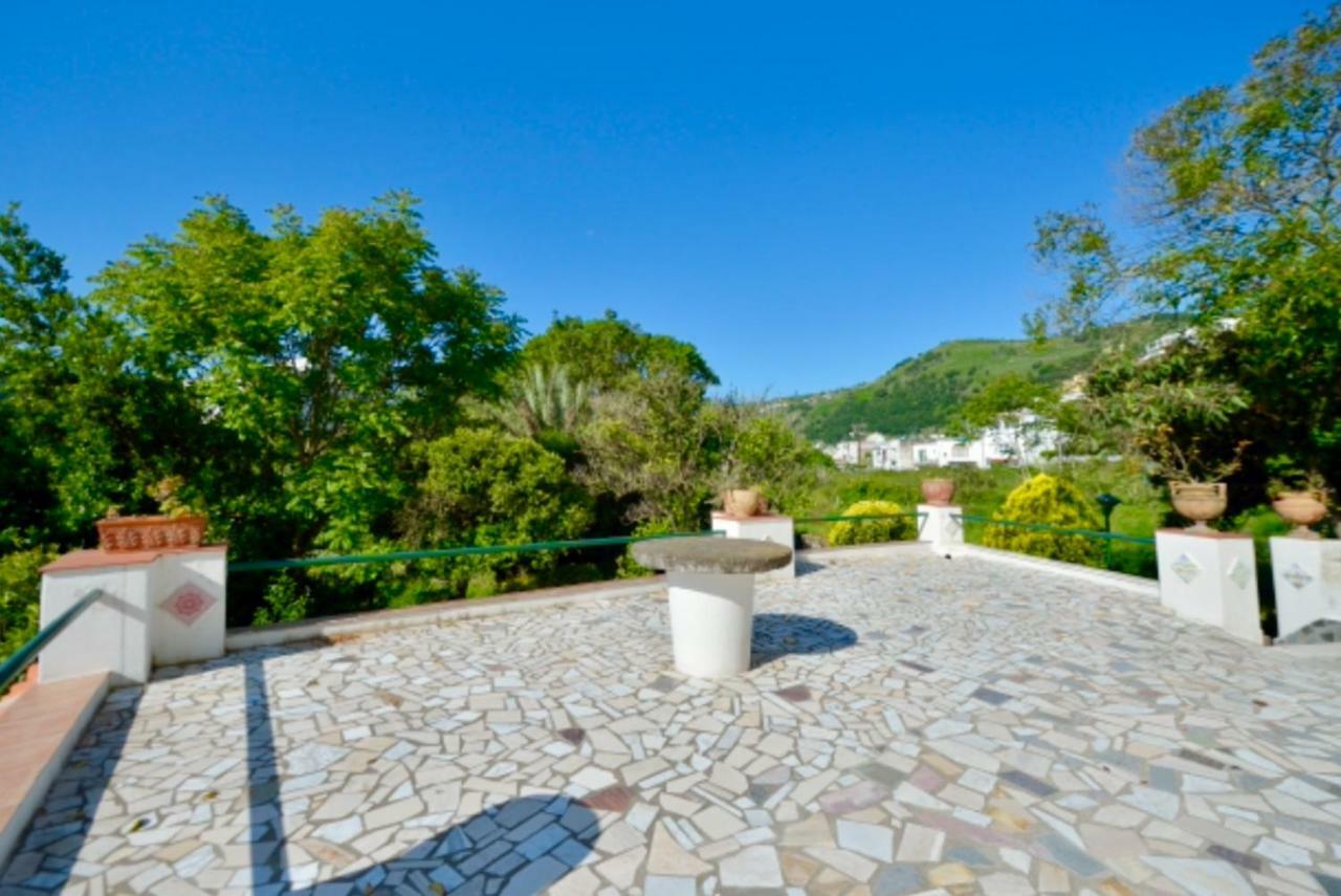 Villa Vincenzo Di Meglio 바라노디스키아 외부 사진